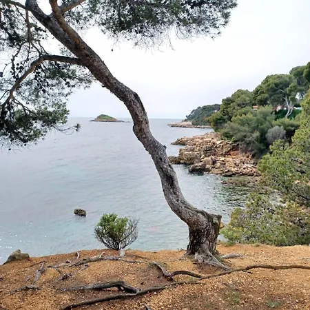 Apartment With Pool - Near The Bandol